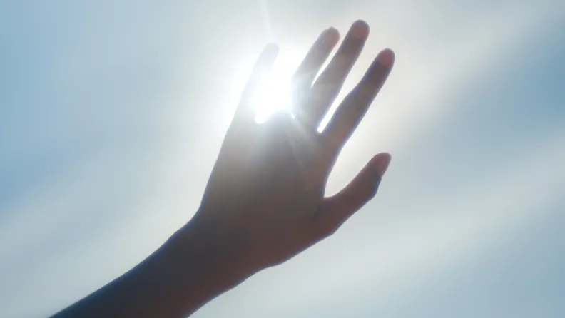 A hand in the sunlight.