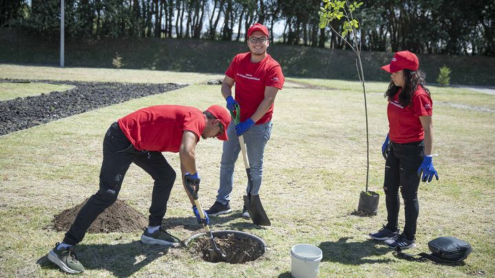 Audi employees planted a total of 210 native trees in a local park to enrich local biodiversity in the community of Ciudad Modelo.