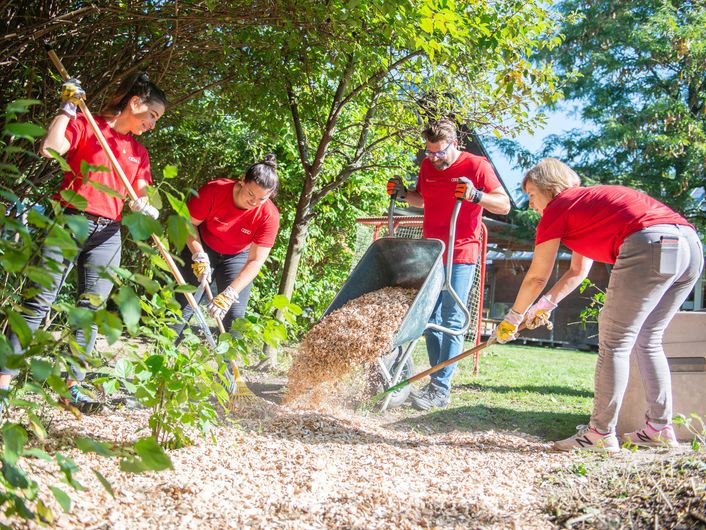 AUDI AG Volunteer Day: pitching in together