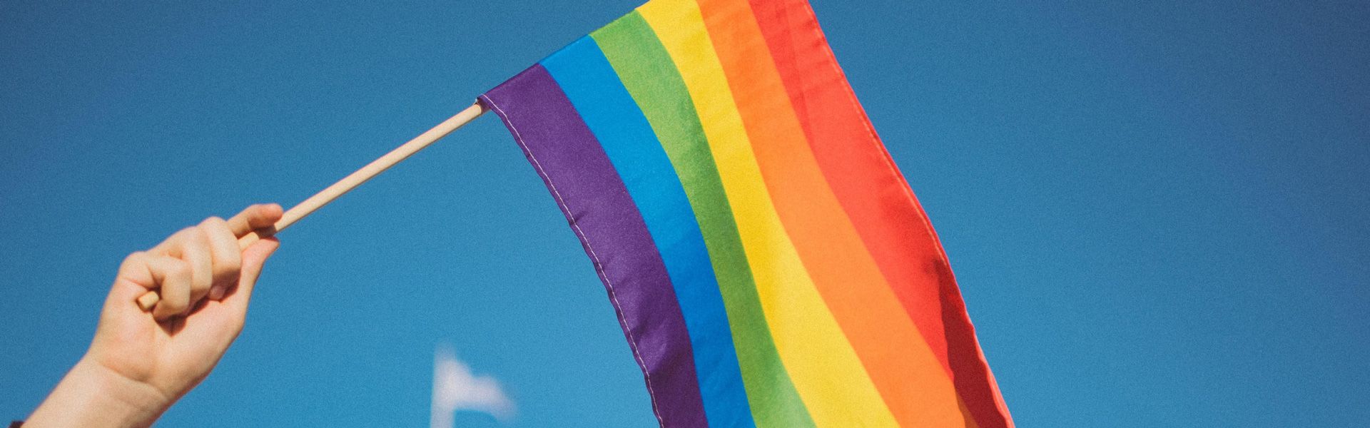 Waving Rainbow flag