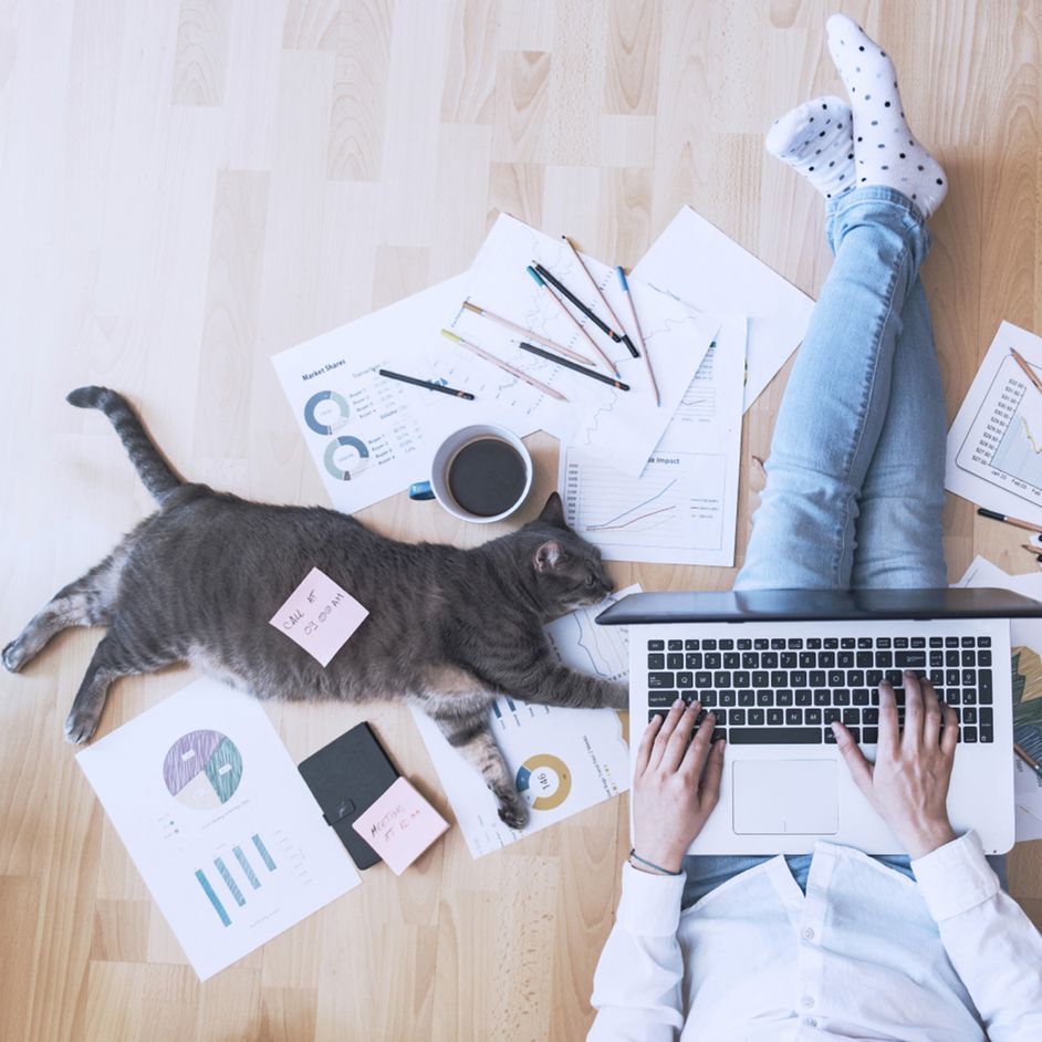 Ein Mann arbeitet mit seinem Laptop auf dem Boden sitzend, seine Katze streckt sich neben ihm