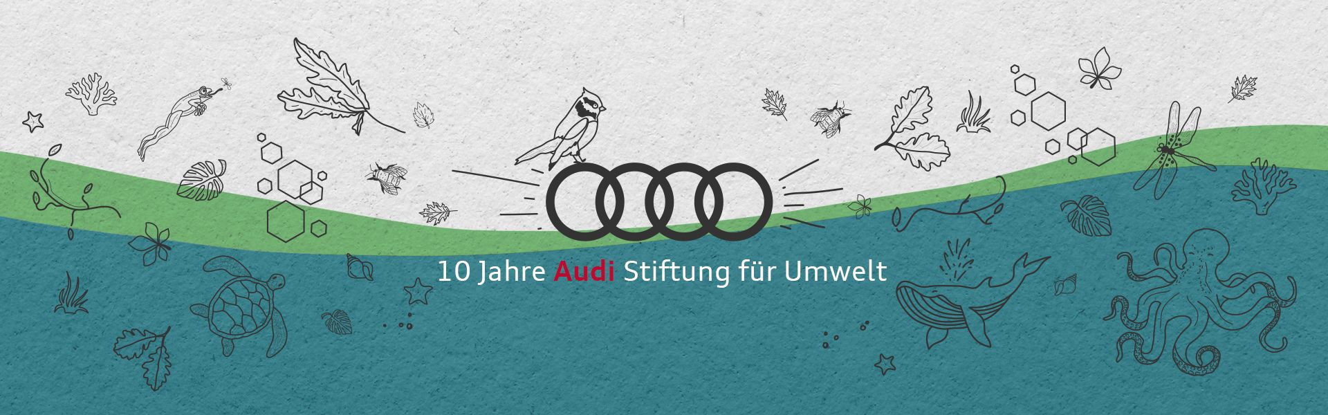 10 Jahre Audi Stiftung für Umwelt