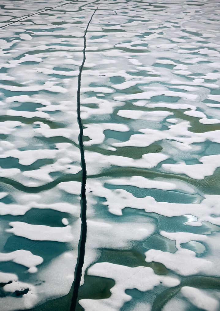 A layer of ice covering the water.