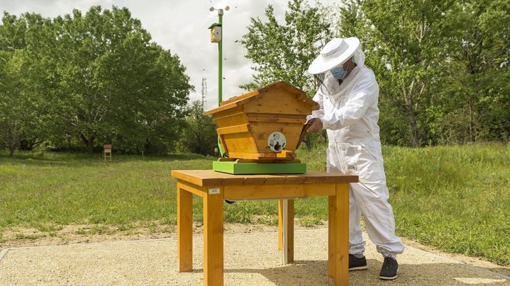 Project "We4Bee" installs an intelligent beehive in Hungary.