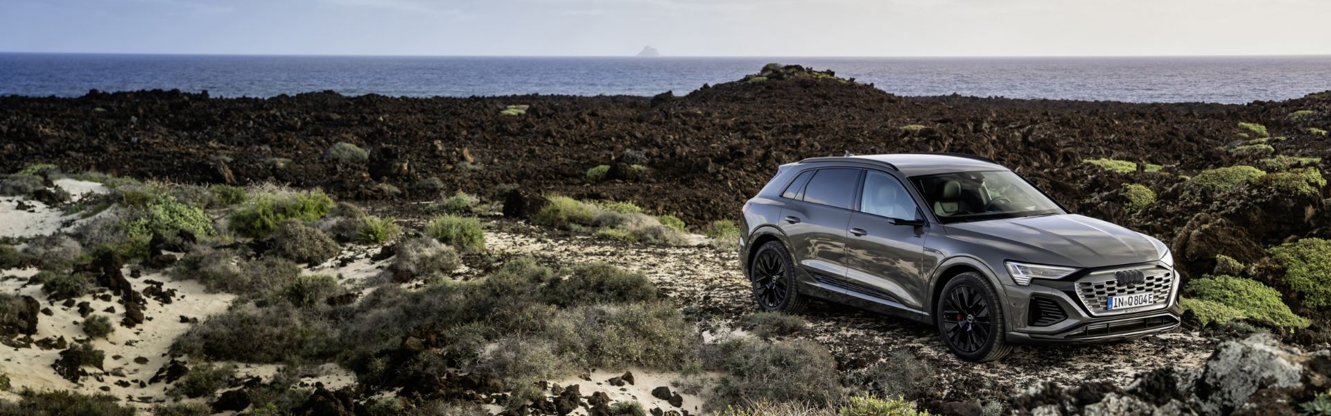 Audi Q8 e-tron on top of a hill with green plants